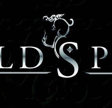 ColdSpell Band