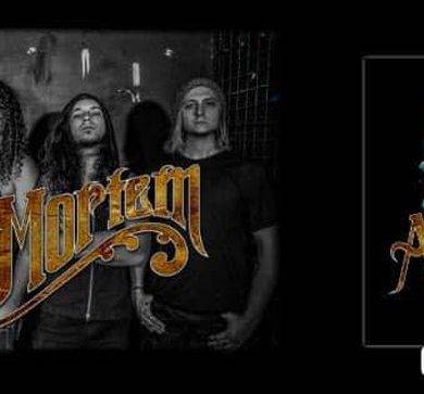 Anti Mortem Video Single