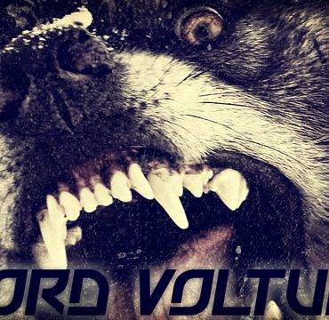 Lord Volture New Album