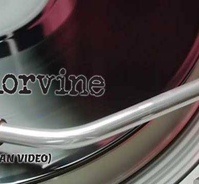 Colorvine Radio Days