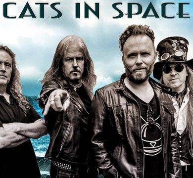 Cats In Space